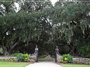 Boone Hall Plantation