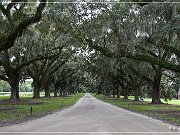 Boone Hall Plantation