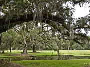 Drayton Hall