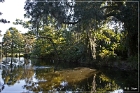 Magnolia Plantation Lakes