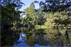 Magnolia Plantation Lakes