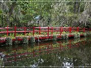 Magnolia Plantation & Gardens