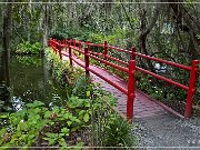 Magnolia Plantation & Gardens