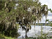 Magnolia Plantation & Gardens