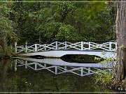 Magnolia Plantation & Gardens