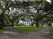 McLeod Plantation