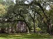 Sheldon Church Ruins