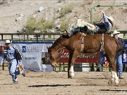 Gold Rush Days Rodeo