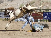 Gold Rush Days Rodeo