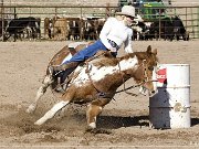 Gold Rush Days Rodeo