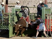 Gold Rush Days Rodeo