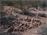 Silverbell Cemetery