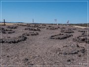 Agua Caliente Pioneer Cemetery