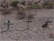 Harquahala Cemetery