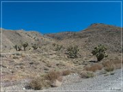 Cerro  Gordo