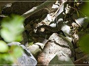 Crystal Mill