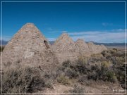 Ward Charcoal Ovens SHP