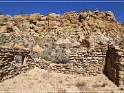 Margarita Martinez Homestead