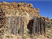 Margarita Martinez Homestead