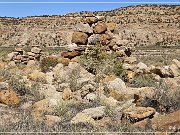 Nestor Martin Homestead