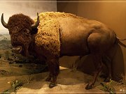 Oregon Trail Interpretive Center