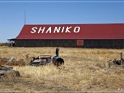 Shaniko GT