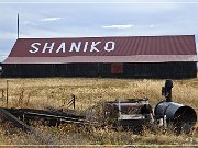 Shaniko GT