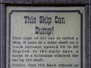 This Skip Can Dump