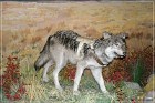 Head Smashed-In Buffalo Jump