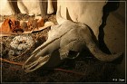 Head Smashed-In Buffalo Jump