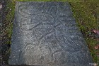 Petroglyph PP