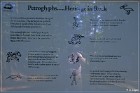 Petroglyph PP