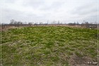 Winterville Mounds SP