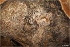 Hueco Tanks State Historical Park