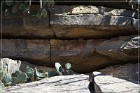 Paint Rock Pictographs