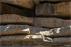 Paint Rock Pictographs