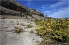 Seminole Canyon SP