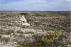 Seminole Canyon SP