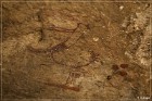 Fate Bell Pictograph Site, Cave 1