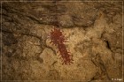 Fate Bell Pictograph Site, Cave 1