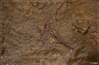 Fate Bell Pictograph Site, Cave 1