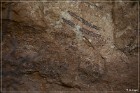 Fate Bell Pictograph Site, Cave 1