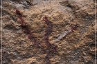 Fate Bell Pictograph Site, Cave 2