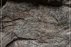 Fate Bell Pictograph Site, Cave 2
