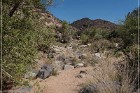 Badger Springs Trail