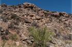 Badger Springs Trail