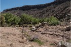 Badger Springs Trail