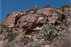 Badger Springs Trail