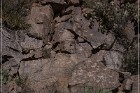 Badger Springs Trail