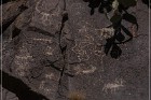 Badger Springs Trail